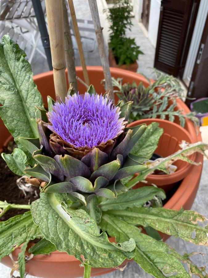 Officinale Rome Apartment, Pineta Sacchetti Εξωτερικό φωτογραφία