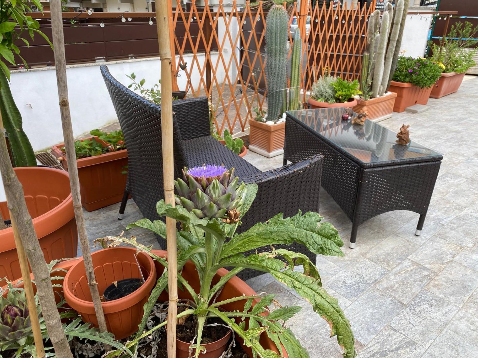 Officinale Rome Apartment, Pineta Sacchetti Εξωτερικό φωτογραφία